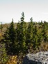 View from Outlook near Dolly Sods